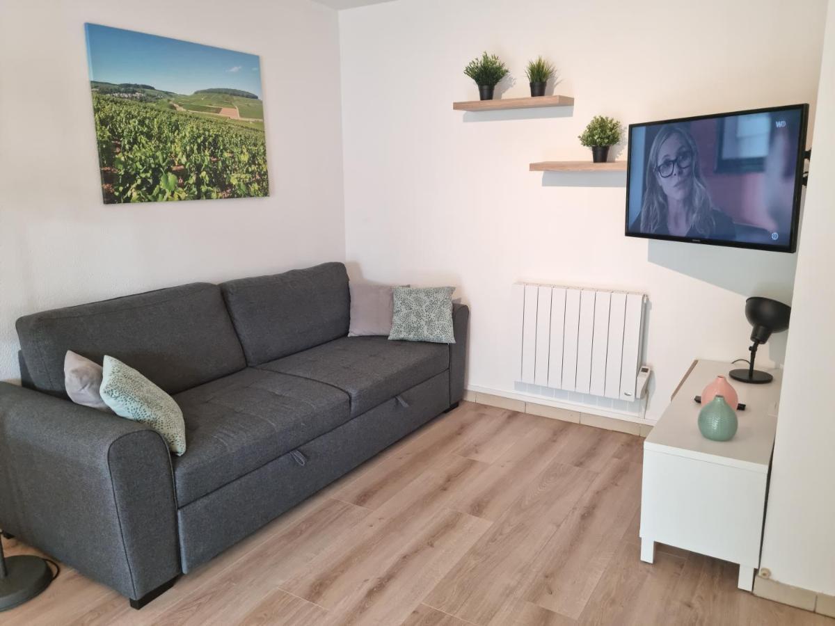 Beaune Appartement Avec Parking Et Wifi Gratuit Ngoại thất bức ảnh